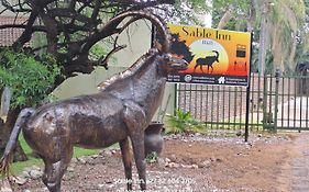 Sable Inn B&B
